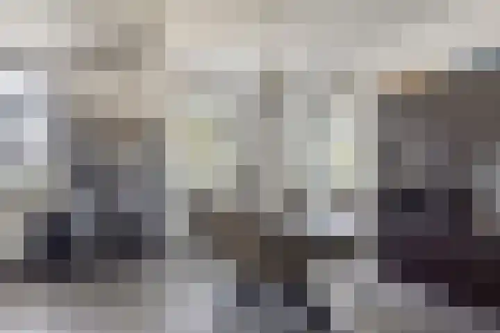 Vogellaan 20 Terneuzen thumbnail 14