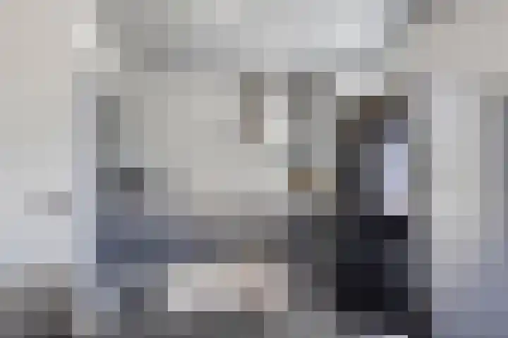 Vogellaan 20 Terneuzen thumbnail 16