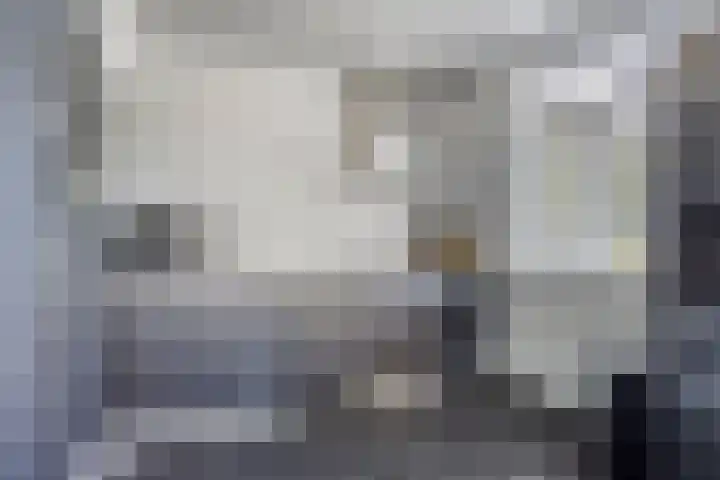 Vogellaan 20 Terneuzen thumbnail 17