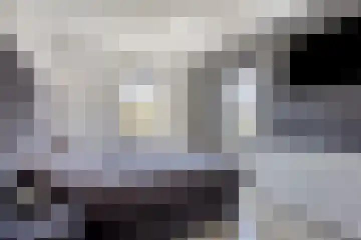 Vogellaan 20 Terneuzen thumbnail 19