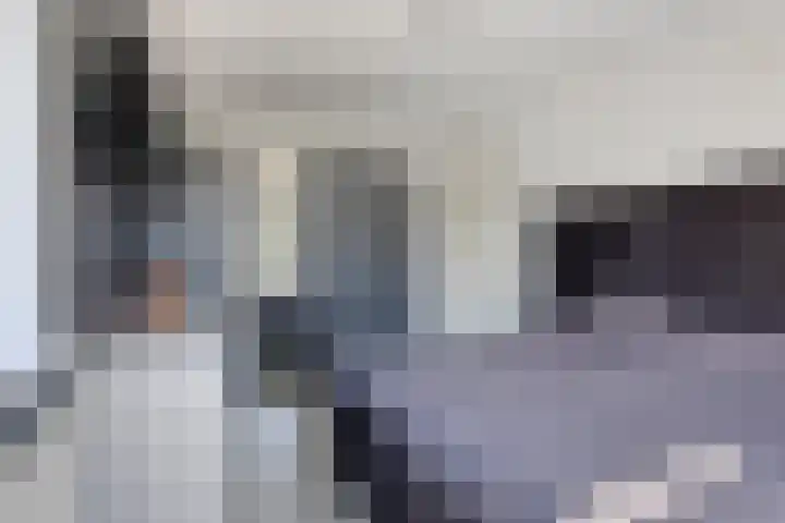 Vogellaan 20 Terneuzen thumbnail 20