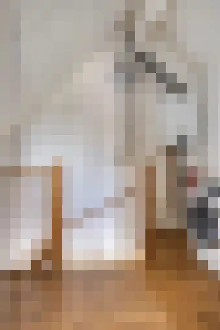 Vogellaan 20 Terneuzen thumbnail 24