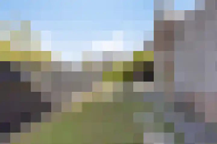 Vogellaan 20 Terneuzen thumbnail 31