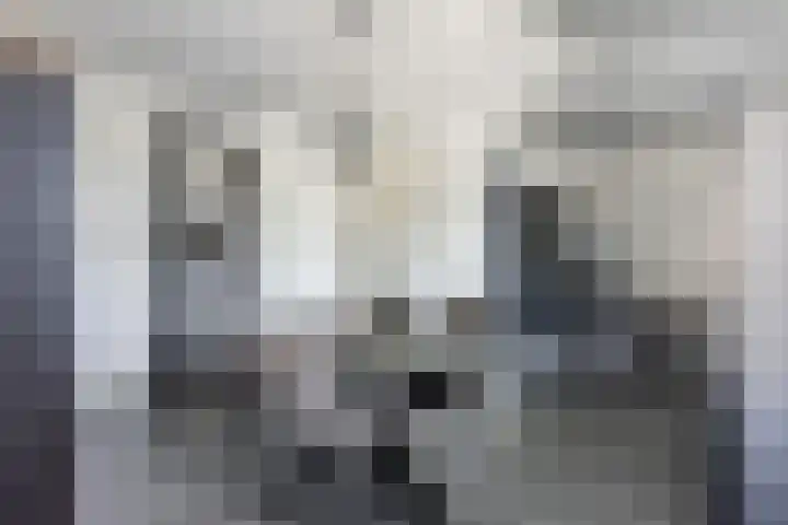 Vogellaan 20 Terneuzen thumbnail 4
