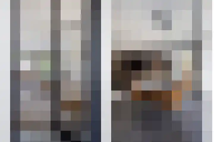 Vogellaan 20 Terneuzen thumbnail 9