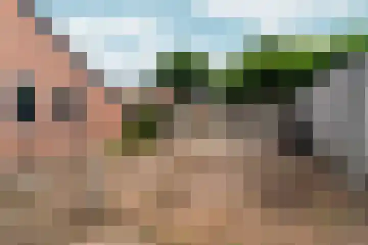 Vogellaan 29 Bergen L thumbnail 20