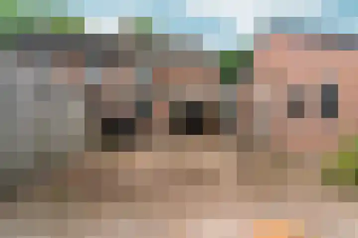 Vogellaan 29 Bergen L thumbnail 21