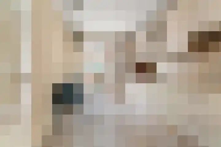 Vogellaan 29 Bergen L thumbnail 4