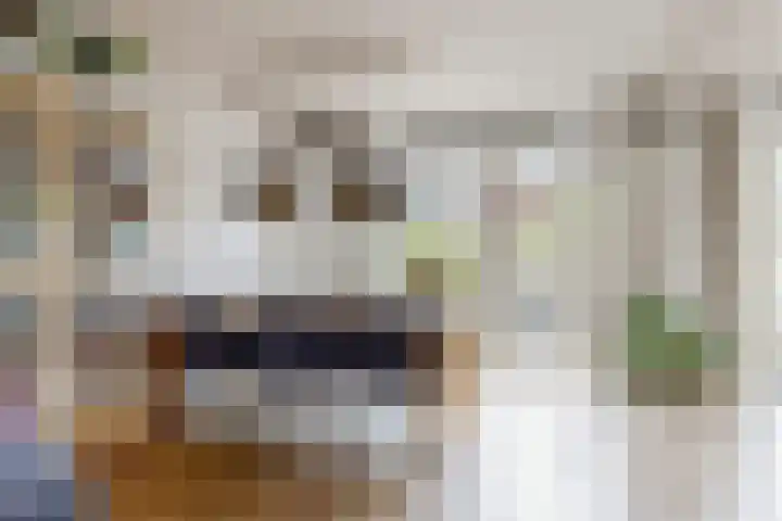Vogellaan 29 Leiderdorp thumbnail 10