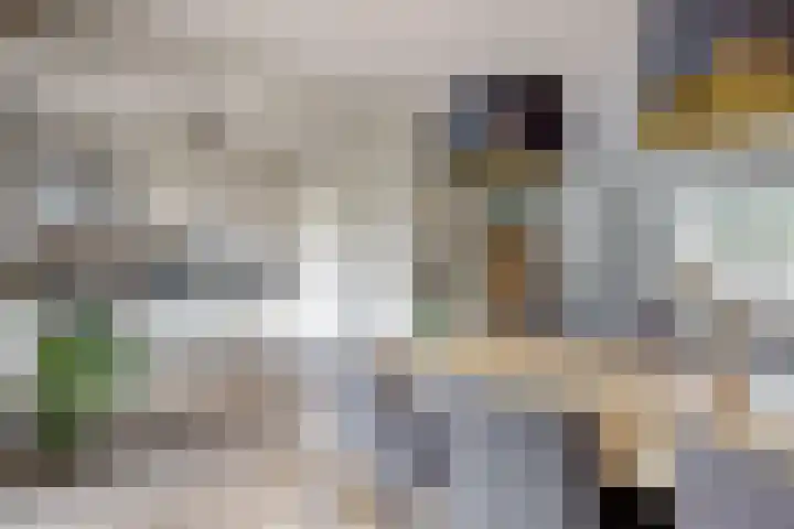 Vogellaan 29 Leiderdorp thumbnail 12