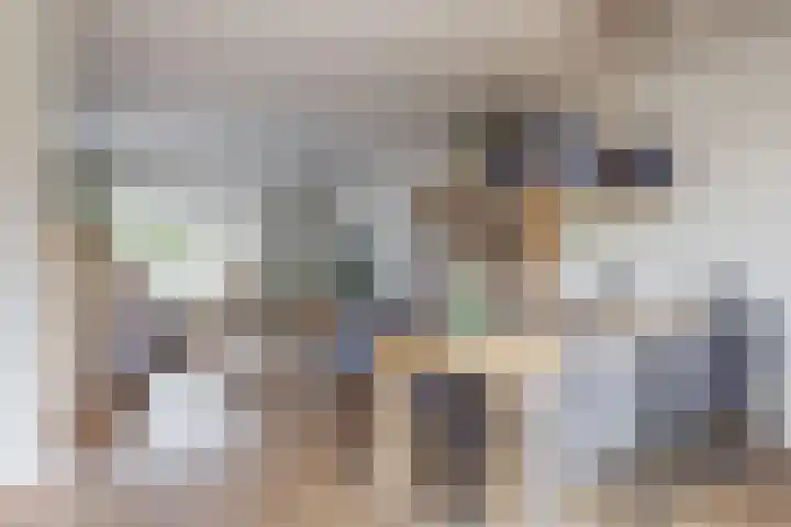 Vogellaan 29 Leiderdorp thumbnail 13