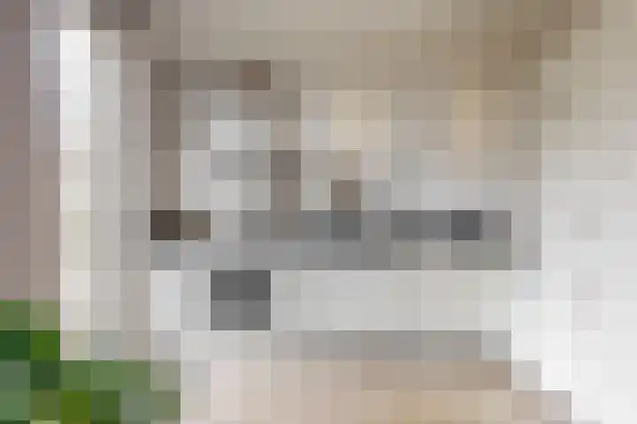 Vogellaan 29 Leiderdorp thumbnail 14