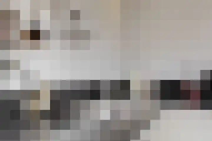 Vogellaan 29 Leiderdorp thumbnail 15