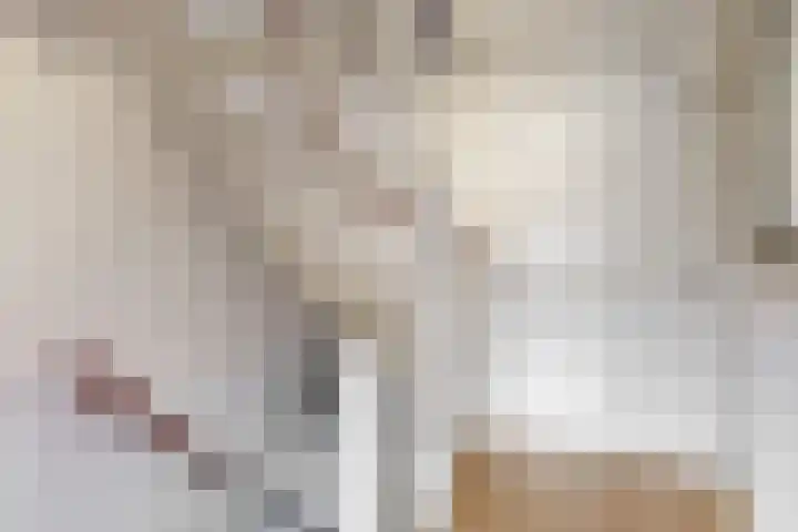 Vogellaan 29 Leiderdorp thumbnail 18