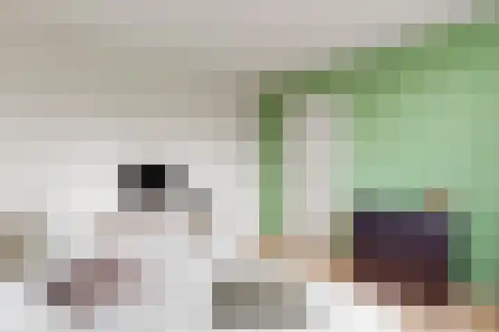 Vogellaan 29 Leiderdorp thumbnail 19