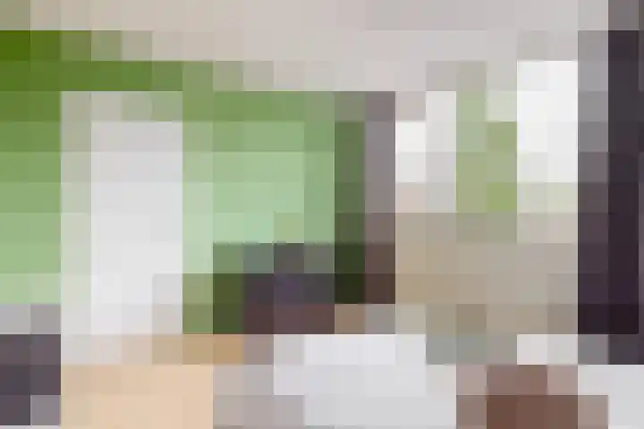 Vogellaan 29 Leiderdorp thumbnail 20