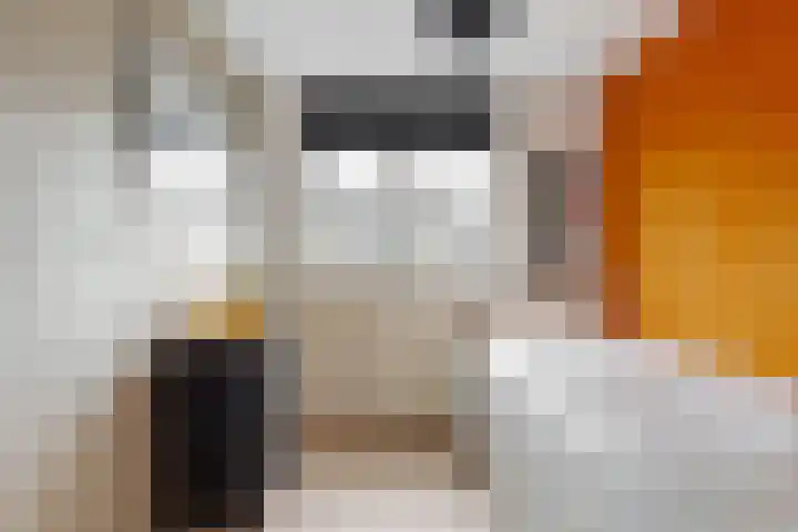 Vogellaan 29 Leiderdorp thumbnail 26
