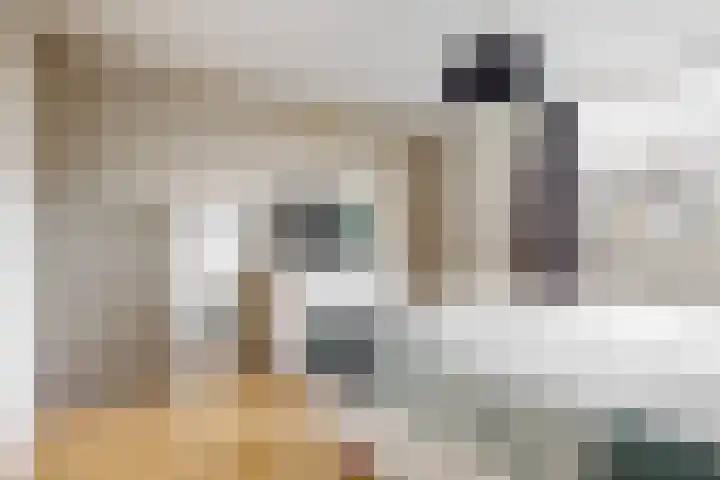 Vogellaan 29 Leiderdorp thumbnail 30
