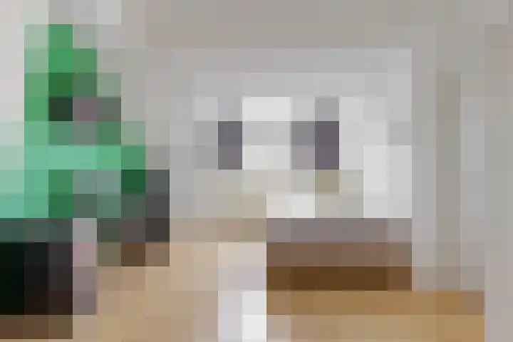Vogellaan 29 Leiderdorp thumbnail 33