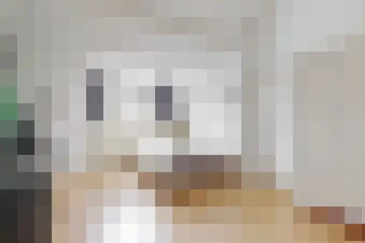 Vogellaan 29 Leiderdorp thumbnail 34
