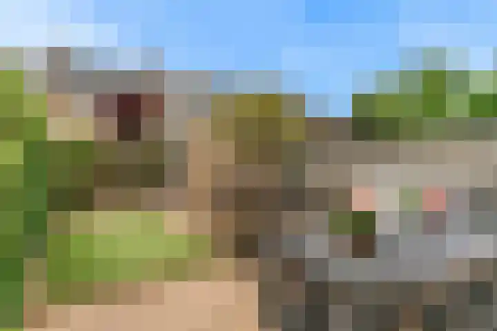 Vogellaan 29 Leiderdorp thumbnail 36