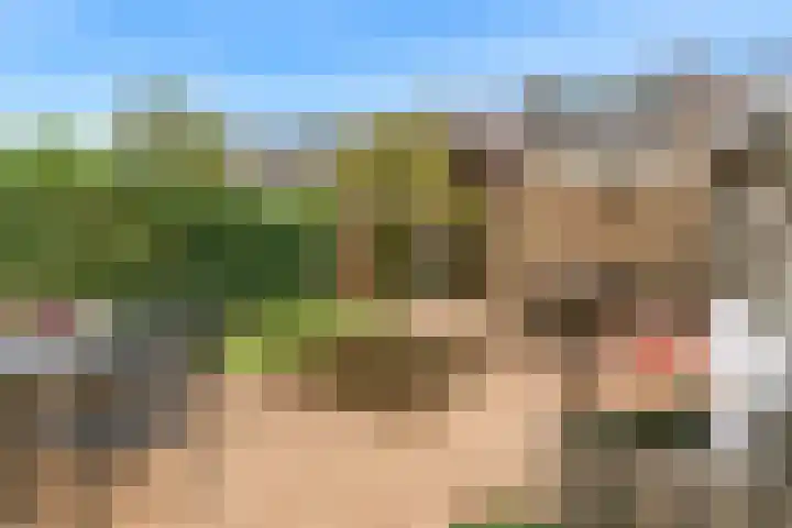 Vogellaan 29 Leiderdorp thumbnail 39