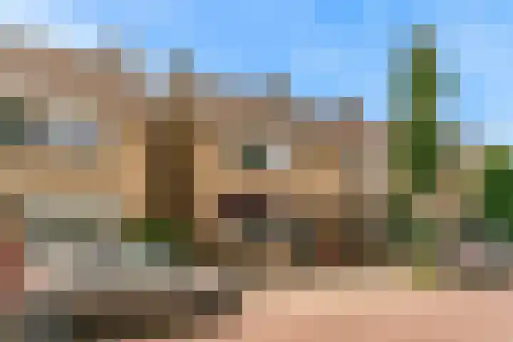 Vogellaan 29 Leiderdorp thumbnail 4