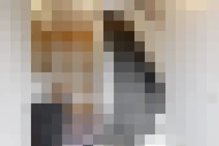 Vogellaan 29 Leiderdorp thumbnail 6
