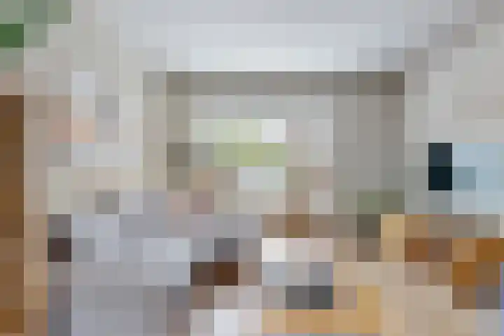 Vogellaan 29 Leiderdorp thumbnail 9