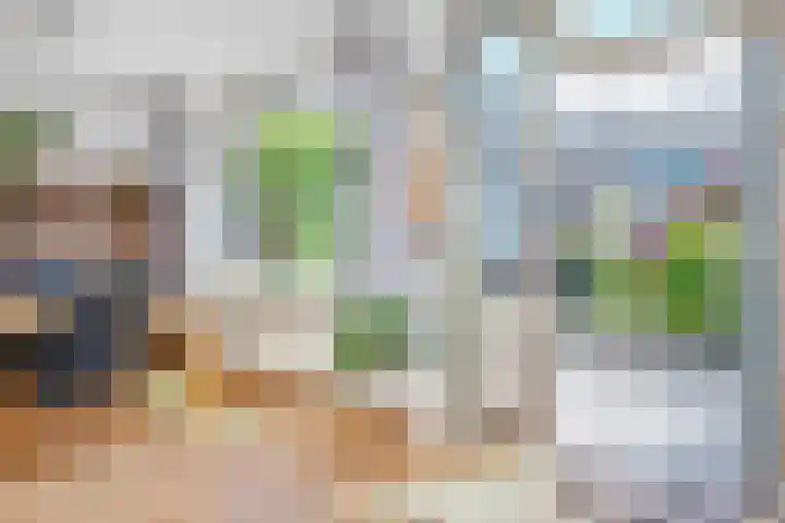 Vogellaan 30 Leiderdorp thumbnail 16