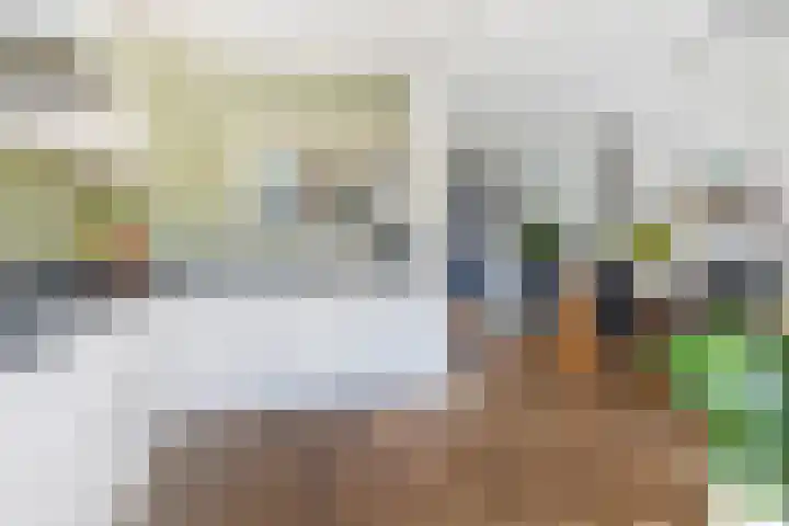Vogellaan 30 Leiderdorp thumbnail 18