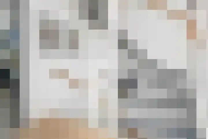 Vogellaan 30 Leiderdorp thumbnail 20