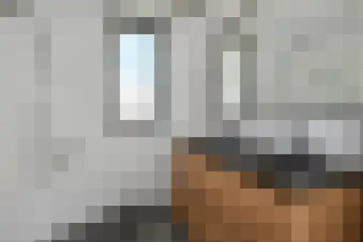 Vogellaan 30 Leiderdorp thumbnail 23