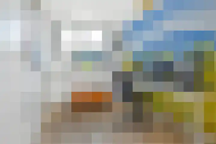 Vogellaan 30 Leiderdorp thumbnail 27