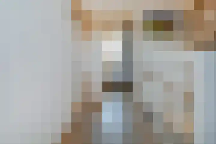 Vogellaan 30 Leiderdorp thumbnail 28