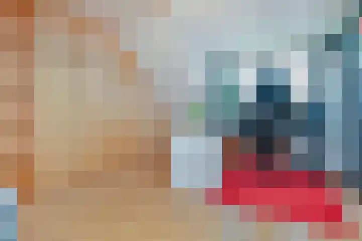 Vogellaan 30 Leiderdorp thumbnail 32