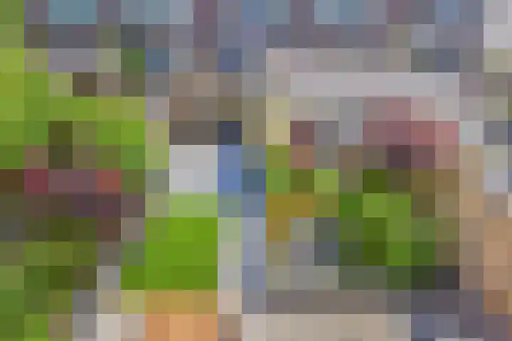 Vogellaan 30 Leiderdorp thumbnail 37