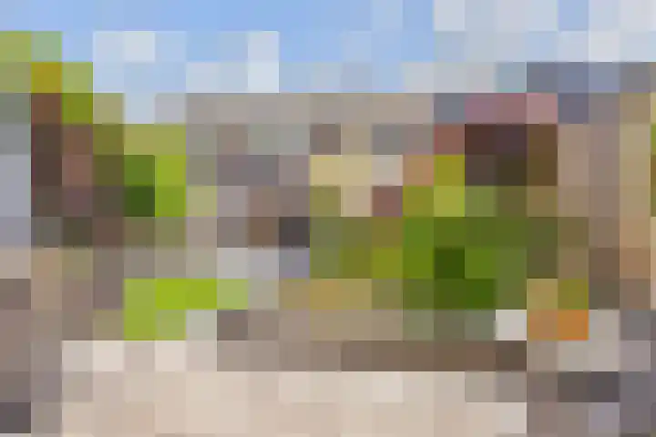 Vogellaan 30 Leiderdorp thumbnail 38