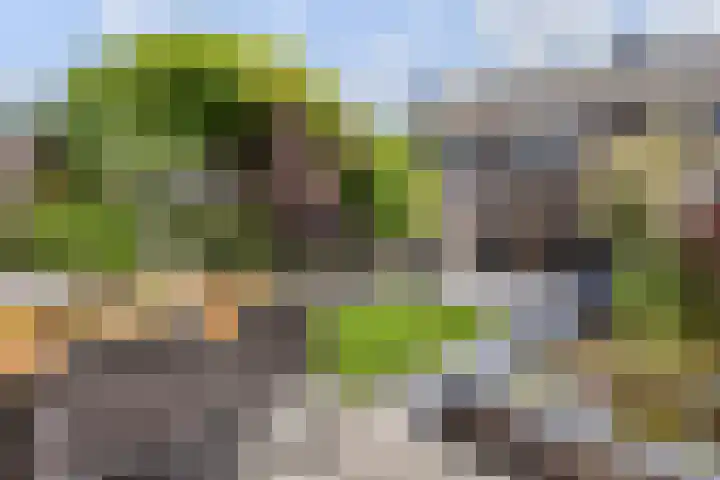 Vogellaan 30 Leiderdorp thumbnail 39