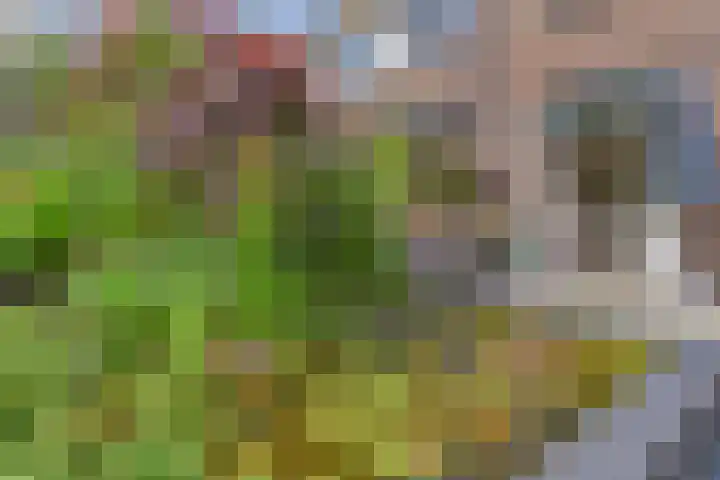 Vogellaan 30 Leiderdorp thumbnail 40