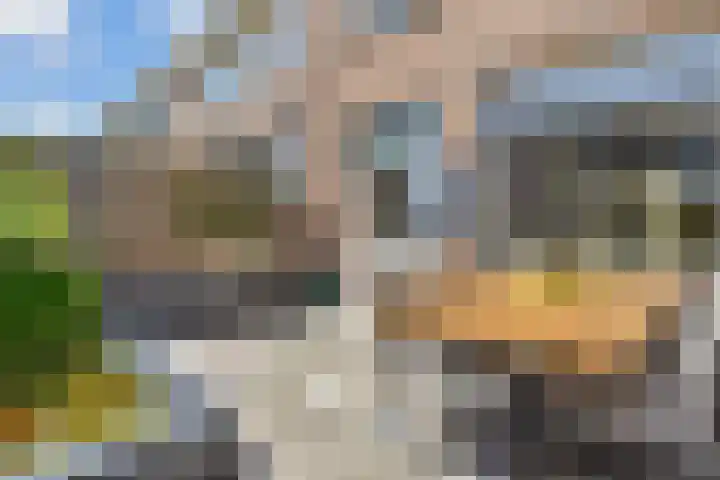 Vogellaan 30 Leiderdorp thumbnail 41