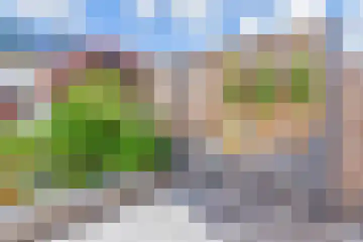 Vogellaan 30 Leiderdorp thumbnail 42