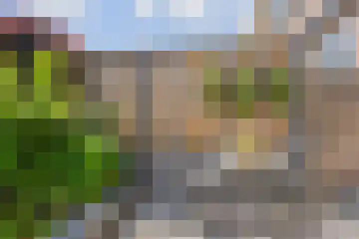 Vogellaan 30 Leiderdorp thumbnail 43