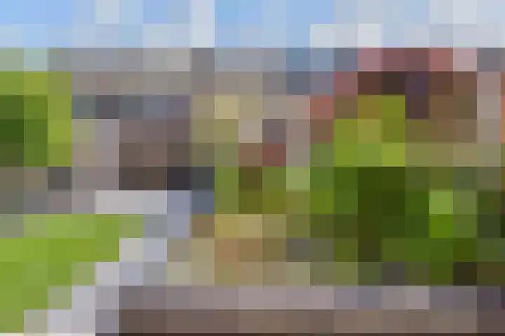 Vogellaan 30 Leiderdorp thumbnail 44