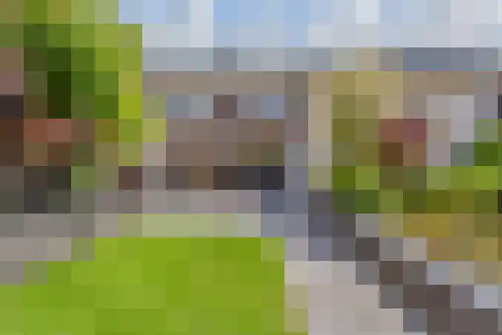Vogellaan 30 Leiderdorp thumbnail 45