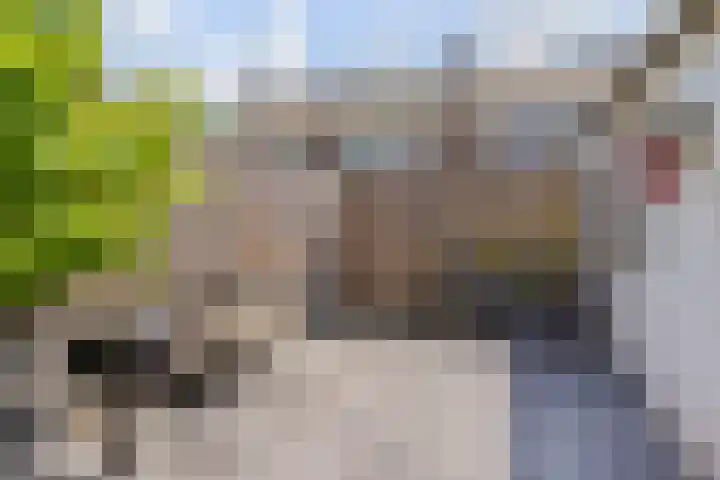 Vogellaan 30 Leiderdorp thumbnail 46