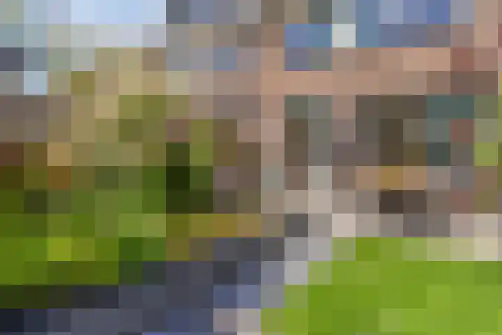 Vogellaan 30 Leiderdorp thumbnail 47