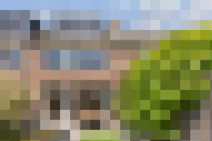 Vogellaan 30 Leiderdorp thumbnail 48