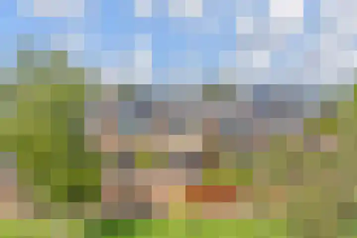 Vogellaan 30 Leiderdorp thumbnail 51