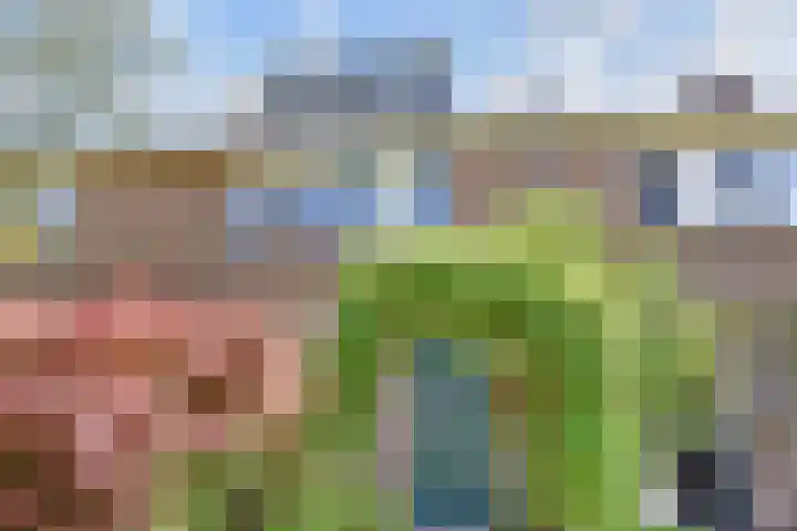 Vogellaan 30 Leiderdorp thumbnail 53